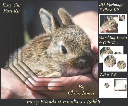 Furry Friends & Familiars - Baby Rabbits + Insert & Tag