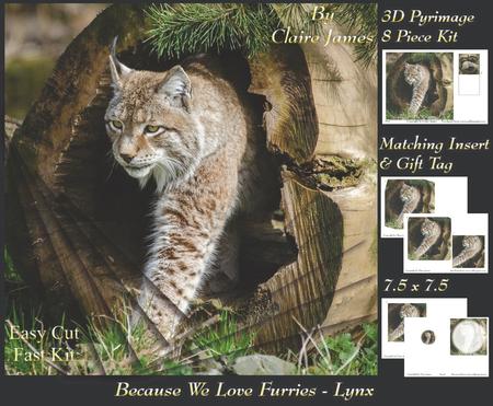 Because We Love Furries - Gorgeous Lynx + Insert & Tag