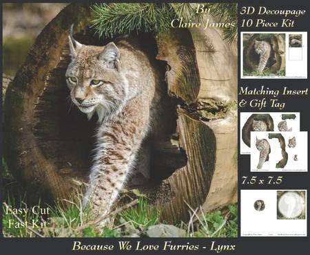 Because We Love Furries - Gorgeous Lynx + Insert & Tag
