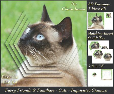Furry Friends & Familiars - Cats - Siamese 5 + Insert & Tag