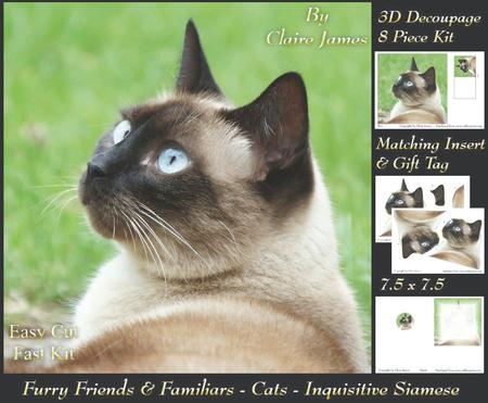 Furry Friends & Familiars - Cats - Siamese 5 + Insert & Tag