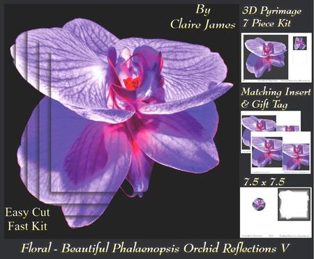 Floral - Beautiful Phalaenopsis Orchid Reflections 5 + Tag +