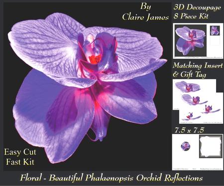 Floral - Beautiful Phalaenopsis Orchid Reflections 5 + Tag +