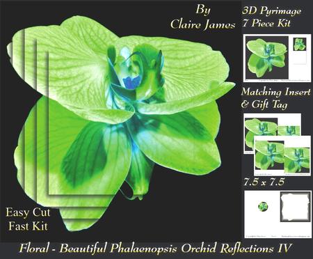Floral - Beautiful Phalaenopsis Orchid Reflections 4 + Tag +