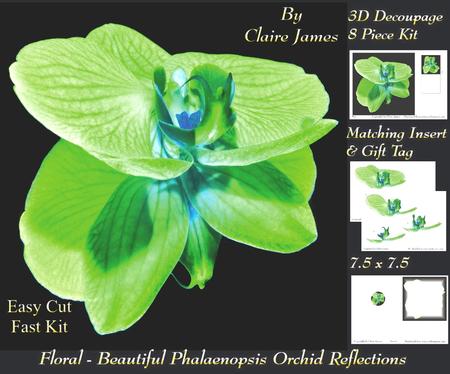 Floral - Beautiful Phalaenopsis Orchid Reflections 4 + Tag +