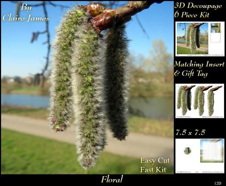Botanical & Floral 12 - Spring Catkins + Insert & Tag