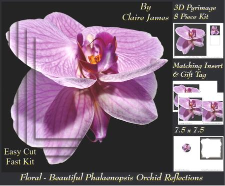 Floral - Beautiful Phalaenopsis Orchid Reflections + Tag +