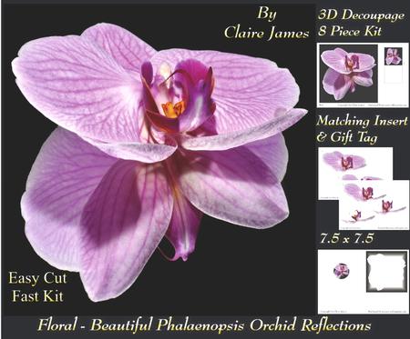 Floral - Beautiful Phalaenopsis Orchid Reflections + Tag +