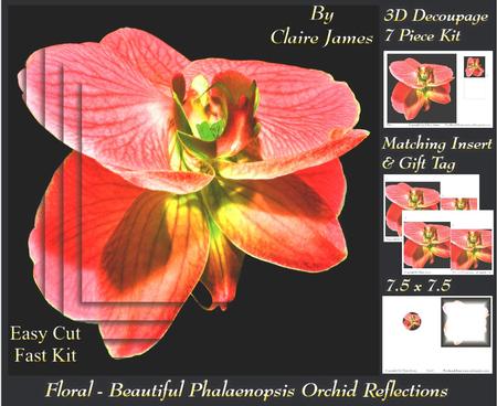 Floral - Beautiful Phalaenopsis Orchid Reflections 2 + Tag +