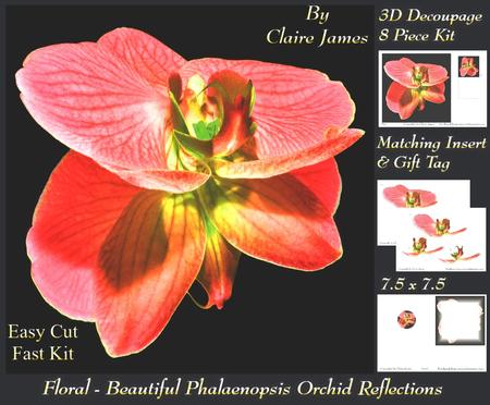 Floral - Beautiful Phalaenopsis Orchid Reflections 2 + Tag +
