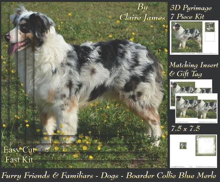 Furry Friends & Familiars-dog- Border Collie Blue Merle Tag+