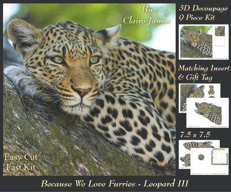Because We Love Furries - Lounging Leopard 3 + Insert & Tag