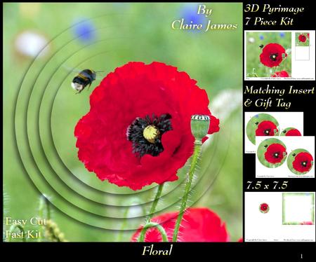 Botanical & Floral 1 - Bees Love Poppies + Insert & Tag