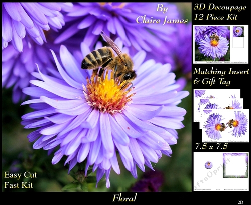 Botanical & Floral 2 - Bees Love Daisies  + Insert & Tag