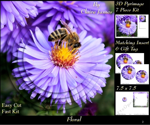 Botanical & Floral 2 - Bees Love Daisies  + Insert & Tag
