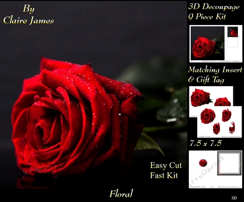 Botanical & Floral 3 - Beautiful Red Rose + Insert & Tag