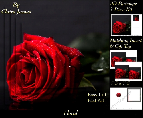 Botanical & Floral 3 - Beautiful Red Rose + Insert & Tag