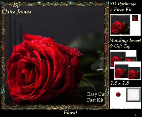 Botanical & Floral 3 - Framed Beautiful Red Rose + Insert & Tag