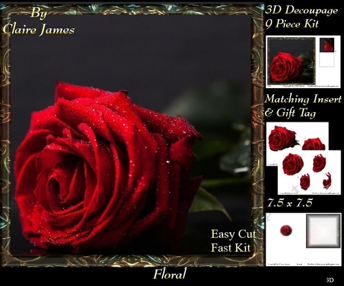 Botanical & Floral 3 - Framed Beautiful Red Rose + Insert & Tag