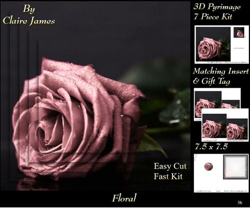 Botanical & Floral 3 - Beautiful Dusky Rose + Insert & Tag