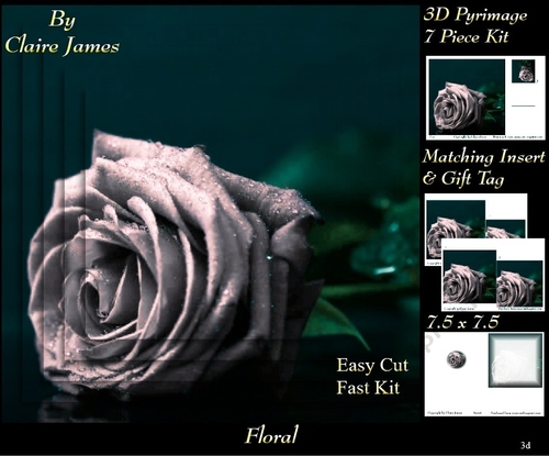 Botanical & Floral 3 - Beautiful Silver Rose + Insert & Tag