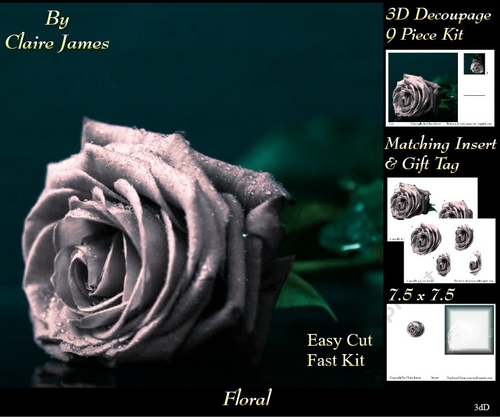 Botanical & Floral 3 - Beautiful Silver Rose + Insert & Tag