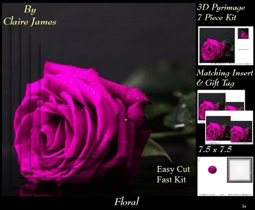 Botanical & Floral 3 - Beautiful Pink Rose + Insert & Tag