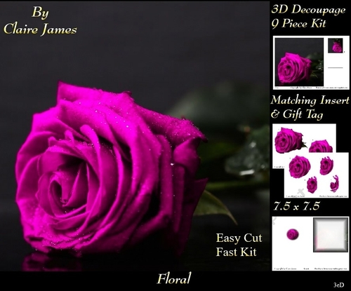 Botanical & Floral 3 - Beautiful Pink Rose + Insert & Tag