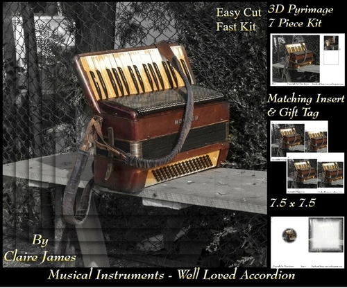 Musical Instruments - Well Loved Accordion - Pyrimage/Pyramid + Insert & Tag