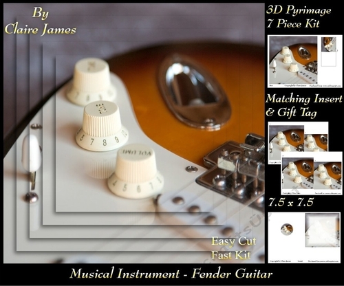 Musical Instruments - Vintage Guitar - Pyrimage/Pyramid + Insert & Tag
