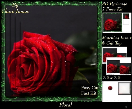 Botanical & Floral - Beautiful Framed Rose 2 - Pyrimage/Pyramid + Insert & Tag