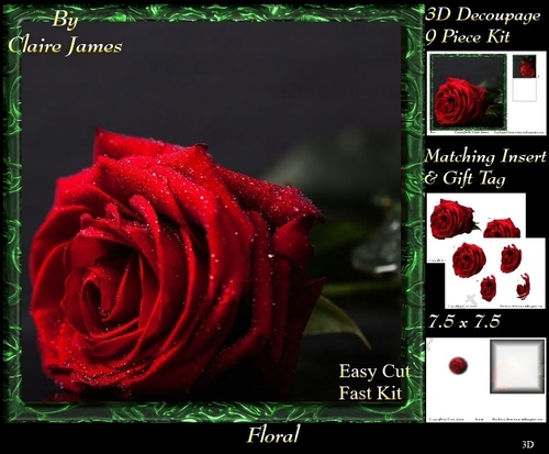 Botanical & Floral - Beautiful Framed Rose 2 - Decoupage + Insert & Tag