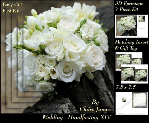 Tying The Knot 14 - Weddings & Handfastings - Pyrimage/pyramid + Matching Insert & Tag 