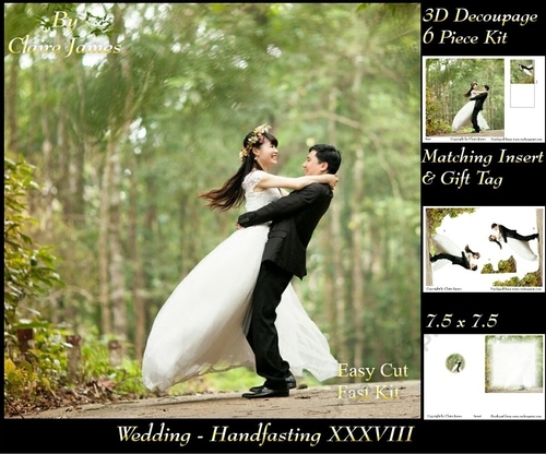 Tying The Knot 38 - Weddings & Handfastings - 3D Decoupage + Matching Insert & Tag 