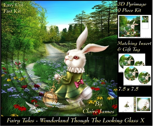Fairy Tales - Wonderland Through The Looking Glass 10 - Pyrimage/Pyramid + Insert & Tag