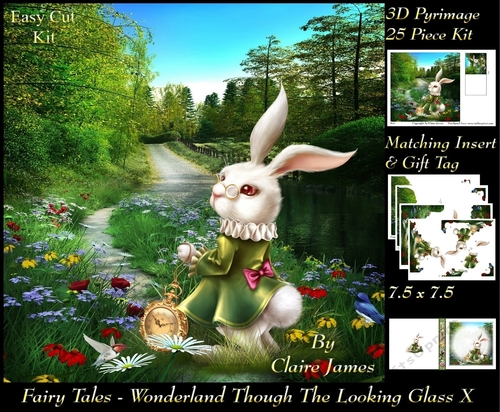 Fairy Tales - Wonderland Through The Looking Glass 10 - Special 3D Decoupage + Insert & Tag