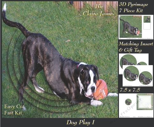 Furry Friends & Familiars - Dog Play 1 - Pyrimage/pyramid + Insert & Tag