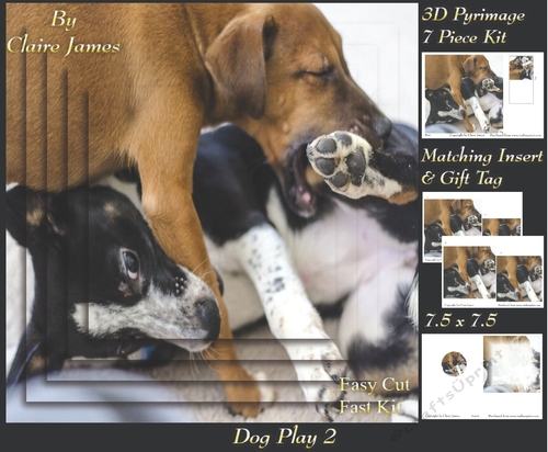 Furry Friends & Familiars - Dog Play 2 - Pyrimage/pyramid + Insert & Tag