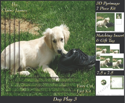 Furry Friends & Familiars - Dog Play 3 - Pyrimage/pyramid + Insert & Tag