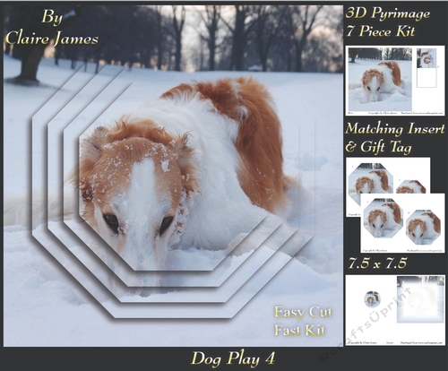 Furry Friends & Familiars - Dog Play 4 - Pyrimage/pyramid + Insert & Tag