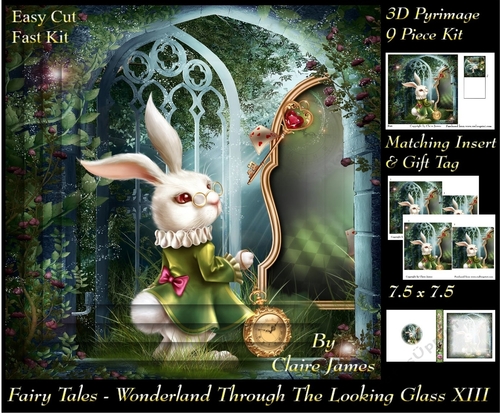 Fairy Tales - Wonderland Through The Looking Glass 13 - Pyrimage/Pyramid + Insert & Tag