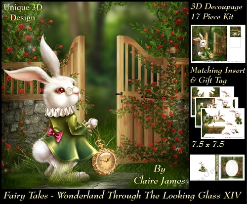 Fairy Tales - Wonderland Through The Looking Glass 14 - Special 3D Decoupage + Insert & Tag