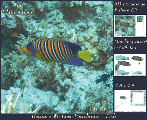 Because We Love Vertebrates -  Coral Reef Tropical Marine Fish - Decoupage + Insert & Tag