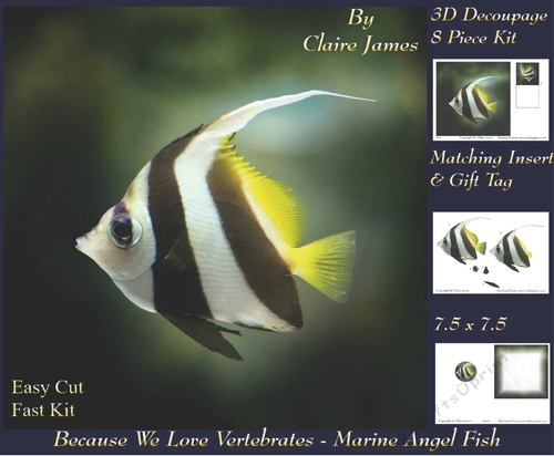 Because We Love Vertebrates -  Coral Reef Tropical Marine Angel Fish - Decoupage + Insert & Tag