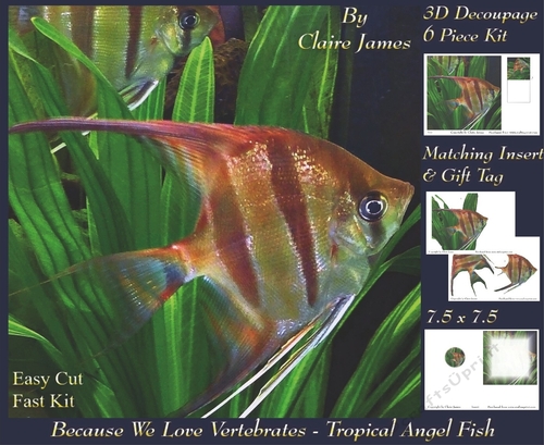 Because We Love Vertebrates -  Coral Reef Tropical Angel Fish - Decoupage + Insert & Tag
