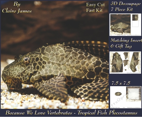 Because We Love Vertebrates -  Coral Reef Tropical Fish Plecostamus - Decoupage + Insert & Tag