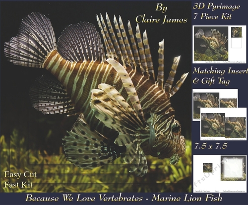 Because We Love Vertebrates -  Coral Reef Tropical Marine Fish Lion Fish - Pyrimage/pyramid + Insert & Tag