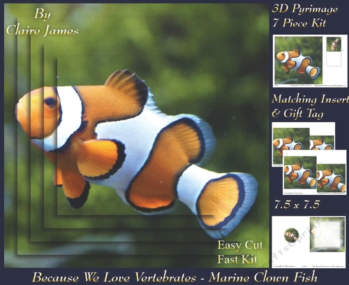 Because We Love Vertebrates -  Coral Reef Tropical Marine Clown Fish - Pyrimage/pyramid + Insert & Tag