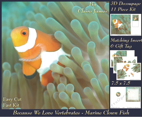 Because We Love Vertebrates - Coral Reef Tropical Marine Fish Clown Fish 2 - Decoupage + Insert & Tag
