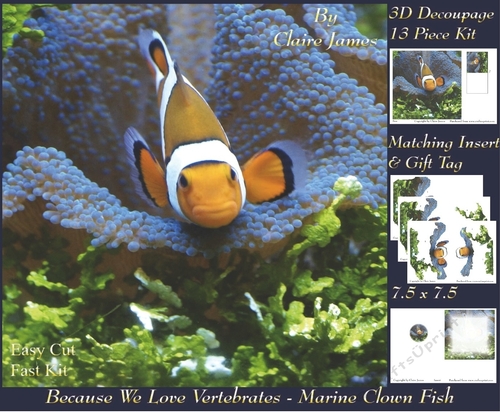 Because We Love Vertebrates - Coral Reef Tropical Marine Fish Clown Fish 3 - Decoupage + Insert & Tag